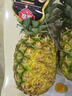 佳农 黑钻菠萝1粒装 菲律宾凤梨 净重2斤起 生鲜水果 源头直发 包邮 实拍图