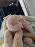 皇恩小兔子毛绒玩具安抚哄睡玩偶陪睡布娃娃公仔抱枕女孩儿童生日礼物 实拍图
