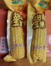 金沃瑞丰黄糯有机玉米棒(260g*8) 新鲜甜粘黏 非转基因 早餐代餐真空 实拍图