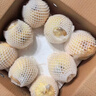 京地达梨砀山酥梨雪梨香梨子水果送礼净重4.8斤单果250g+源头直发 实拍图