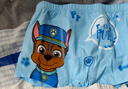 汪汪队立大功（PAW PATROL）儿童内裤男宝宝短裤小孩棉质四角平角裤4条装PA089 100 实拍图