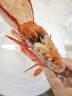 哆鲜生 超大红魔虾 远洋捕捞胭脂魔鬼红虾鲜活冷冻生腌刺身级生鲜虾类 特大号 5-6条/盒 300g(净重) 实拍图