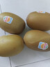 佳沛（zespri）新西兰 阳光金奇异果12粒礼盒特大果单果约122-146g 猕猴桃 水果 实拍图