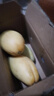 【双十一热卖】玉芒水果芒果新鲜上市 带箱2斤【单果300g+】 实拍图