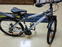 凤凰（Phoenix）山地自行车成人学生儿童碟刹越野变速单车 ZB888 26英寸24速灰色 实拍图