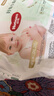 好奇（Huggies）小森林拉拉裤XXXL28片(17kg以上)心钻【透氧顶配更低敏】 实拍图