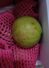 京鲜生 红心珍珠芭乐 番石榴 净重3斤 单果150g+ 生鲜水果礼盒 实拍图