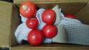 新鲜沙瓤大番茄生吃西红柿减肥早餐即食新鲜蔬菜生鲜单果＞100g 家庭装 4斤 带箱 实拍图