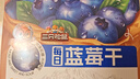 三只松鼠每日蓝莓干256g/16包 无添加水果干果脯小包装儿童老人办公室零食 实拍图