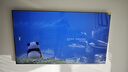 长虹85D7H Pro 85英寸 MiniLED 288Hz高刷新 6GB+64GB 0贴墙壁画电视 4K智能AI平板液晶电视机国家补贴 实拍图