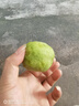 京鲜生陕西徐香绿心猕猴桃 24枚单果90-110g  新鲜水果 源头直发 包邮 实拍图