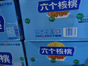 六个核桃智汇养生180ml*20罐 植物蛋白核桃乳整箱装 实拍图