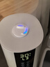 京东京造空气加湿器冷热雾落地式上加水大容量家用客厅卧室办公室大雾量uv杀菌婴儿孕妇可用空调房增湿云杉 实拍图