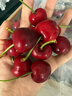 京鲜生 智利进口Santina车厘子2J级5斤礼盒装果径约28-30mm【赠送卡尺】 实拍图