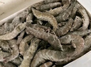 万景 国产大虾 盐冻北海白虾(大号) 80-100只净重4斤  家庭聚餐 海鲜 实拍图