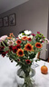 【七彩小雏菊】鲜切花混搭混色多头鲜花插瓶水养花期长七夕礼物 随机混色小雏菊50CM10枝 实拍图