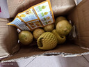 黄金百香果钦蜜9号新鲜当季现摘精选好果水果百香果鲜果酸甜可口 钦蜜9号黄金百香果 >60g大果 2斤 实拍图