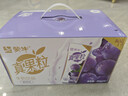 蒙牛真果粒葡萄味250g*12盒 小黄鸭IP定制装 礼盒新老包装 含乳饮料 实拍图