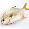 1号会员店（One's Member）甄选海南二去金鲳鱼去鳃去内脏生鲜鱼类 海鲜水产 700g/2条装 实拍图