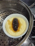 福口居大连即食海参 开袋即食 辽参生鲜礼品 海参礼物 海参正品 【口粮参 多只装】即食2斤28-32只 实拍图