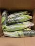 中鲜生云南水果玉米 新鲜甜玉米 现摘玉米棒 生鲜蔬菜可生吃火锅食材 9斤 【净重】约10-13根 实拍图