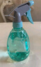 喷壶浇花浇水喷雾器气压式喷水壶家用园艺养花500ml 南瓜喷壶透蓝【1个装】 实拍图
