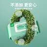 珍爱卫生湿巾金银花提取液 99.9%杀菌湿纸巾80片x6包 实拍图