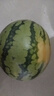 京鲜生 无籽麒麟西瓜 1粒装 单果5-7斤 生鲜水果 实拍图