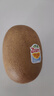 佳沛（zespri）新西兰  阳光金奇异果10粒礼盒巨大果单果约144-175g 水果 猕猴桃 实拍图