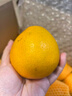 京鲜生 福建耙耙柑 净重5斤装 单果150g起 生鲜水果礼盒 实拍图
