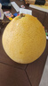 饶情广丰正宗马家柚 饶情精选贡果 大南镇基地现摘红心柚子新鲜水果 马家柚 推荐：品质中果2个【4-5斤】 实拍图