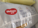 好奇（Huggies）金装拉拉裤XXL74(15kg以上)尿不湿【速干不易红】 实拍图
