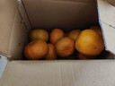 兀果语2025年云南密桔酸桔子当季薄皮橘子孕妇新鲜水果爆汁无核青 10斤 实拍图
