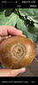 佳沛（zespri）新西兰  阳光金奇异果10粒礼盒巨大果单果约144-175g 水果 猕猴桃 实拍图