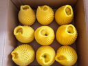 京觅 辽宁大连黄元帅苹果2.7斤单果70-75mm黄金帅香蕉水果源头直发 实拍图