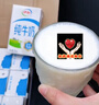伊利 纯牛奶250ml*21盒 全脂牛奶 优质乳蛋白 礼盒装 实拍图