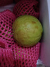 京鲜生 红心珍珠芭乐 番石榴 净重3斤 单果150g+ 生鲜水果礼盒 实拍图