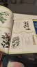 中医书籍全2册 黄帝内经+本草纲目 漫画讲透张嘉铭漫画版黄帝内经漫画版原著中医养生 实拍图