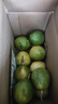 黄金百香果钦蜜9号新鲜当季现摘精选好果水果百香果鲜果酸甜可口 钦蜜9号黄金百香果 ＜40g小果 1斤 实拍图
