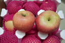 京鲜生山东烟台红富士苹果 9斤装 果径85mm起 新鲜水果 源头直发 实拍图