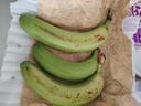 高山精品甜蕉现摘新鲜水果香蕉孕妇宝宝辅食搭配丫丫生鲜特产 1斤装【青蕉发货】 实拍图
