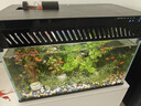 米家（MIJIA）智能生态鱼缸还原自然生态 智能鱼缸+滤芯套装 实拍图