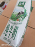 伊利【18天新鲜直达】金典纯牛奶250ml*16盒3.6g乳蛋白 礼盒装  实拍图