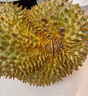 京鲜生 进口金枕头榴莲 净重7-8斤 1个装 鲜果 生鲜 新鲜水果 实拍图