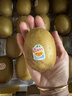 佳沛（zespri）新西兰  阳光金奇异果10粒礼盒巨大果单果约144-175g 水果 猕猴桃 实拍图