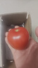 【超市精选】山东沙瓤水果西红柿新鲜番茄蔬菜减肥单果100g起 西红柿中大果 2斤 带箱 实拍图