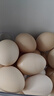 京鲜生可生食标准鲜鸡蛋30枚礼盒装3斤 源头直发 实拍图