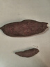 老农车田间冰淇淋红薯当天现挖广东茂名一点红番薯粉糯香甜爆皮新鲜地瓜发货 【精选小果】试吃美味 5斤 实拍图