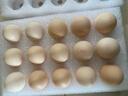 京鲜生无抗保洁鲜鸡蛋15枚1.5斤源头直发  实拍图