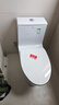 箭牌（ARROW）T51抽水马桶虹吸坐便器普通座便坐厕 1级水效AE12617UM 305坑距 实拍图